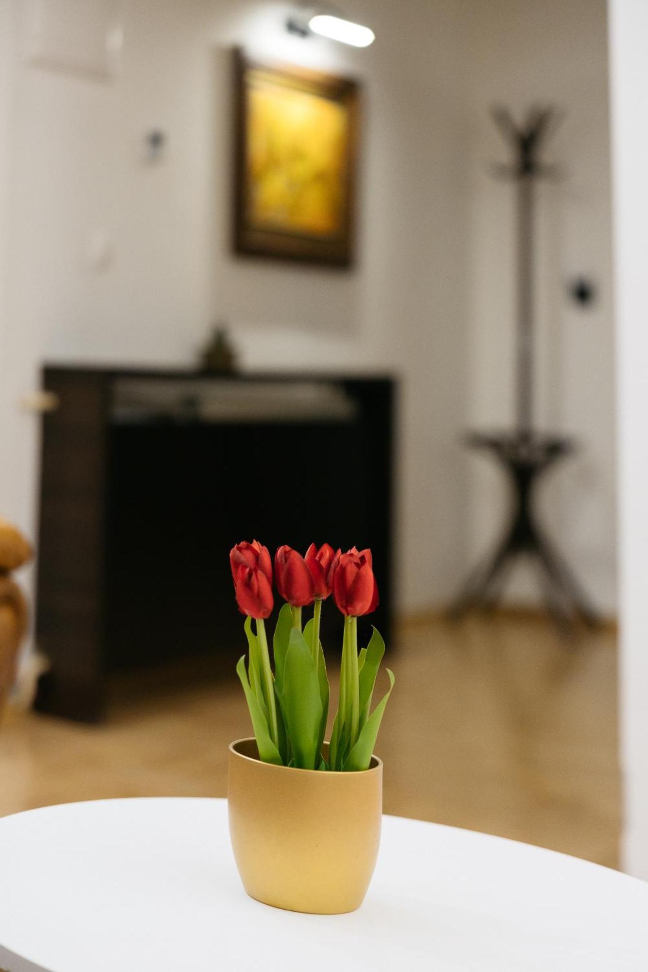 Hotel Gradche Kočani Екстериор снимка